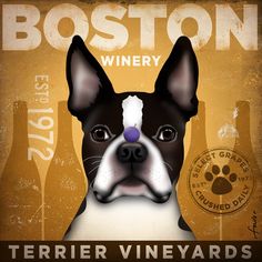 Boston Terrier Dog Wine Winery Company Illustration Gallery Wrap on Gallery Wrapped Canvas by Stephen Fowler - Etsy